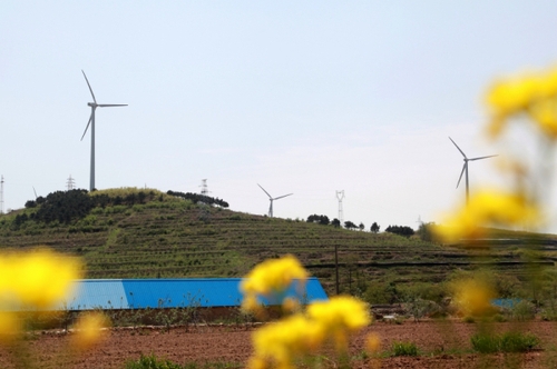 這是5月6日拍攝的山東威海中廣核風電場。