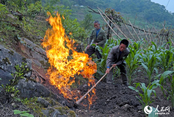 田地里劃根火柴能點燃-重慶巴南發(fā)現神秘氣體3