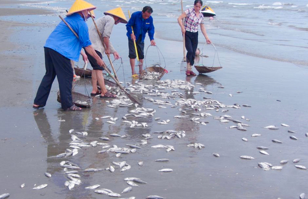 大量死魚(yú)涌上廣西白浪灘-魚(yú)身破損疑遭電炸2