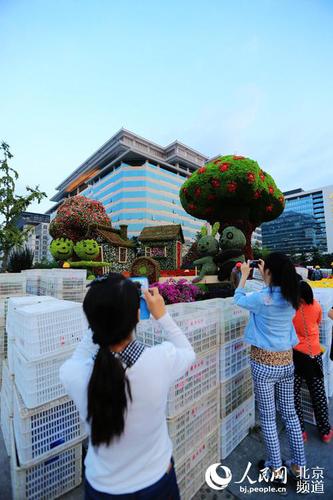 位于長安街沿線的“和諧家園”立體花壇尚未布置完畢，市民游客已在觀賞留影。