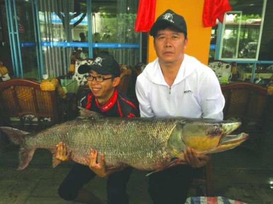 成都父子釣起近百斤大魚激戰(zhàn)三個(gè)半小時(shí)2