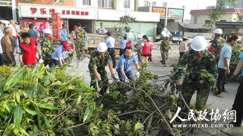 在搶險(xiǎn)救災(zāi)現(xiàn)場，海滄區(qū)政協(xié)機(jī)關(guān)黨員、干部與群眾協(xié)力扶綠、清障、打掃。