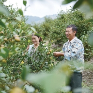 廖興：不畏艱辛實(shí)現(xiàn)“油茶夢(mèng)”