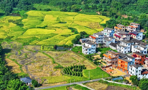 （圖片稿件）山村“豐”景美如畫(5507138)-20241015150826